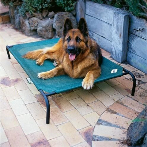 Large Elevated Indoor-Outdoor Dog Cot in Brunswick Green